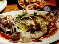豉蒸南海大龙胆-必点海鲜·鲅鱼水饺(鞍山西道店)
