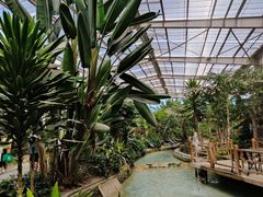 -南宫五洲植物乐园