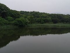 -中华贤母园-陶渊明纪念馆