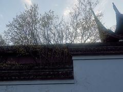 -宁波市保国寺古建筑博物馆