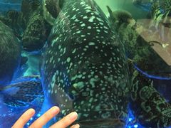 海港酒家(始创中心店)-海港酒家(始创中心店)