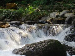 -广州市石门国家森林公园