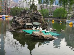 -团结湖公园