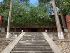 -大觉寺-停车场