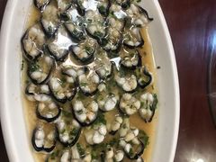 -呼吸森林·生态农庄农家乐私房菜