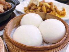 -沙田新强记烧鹅海鲜酒家