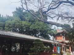 -乌山风景区