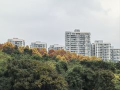 -重庆彩云湖湿地公园