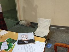 -剧狐剧本杀·月球探案馆(人民广场1号店)