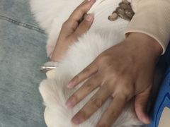 -怪兽屋·羊驼·猫咖·狗咖(俊华广场店)