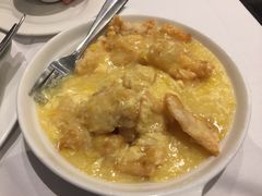 -食为先(Shark Fin)