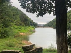 -桃花岭景区