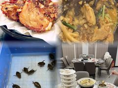 -美未居·老字号·地道顺德菜·桑拿鸡·鱼生(容桂店)