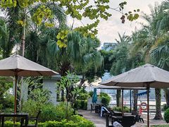 -广州白天鹅宾馆