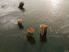 -前关湿地公园