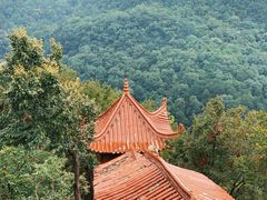 -黔灵山公园