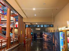 -华谊兄弟影院(IMAX洋桥店)