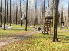 -黄海国家森林公园