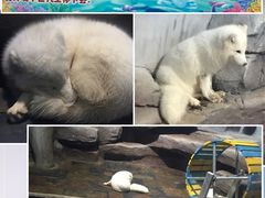 -梦幻海洋王国(吾悦广场张家港店)
