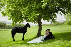 -巴黎恋人(盛景嘉园店)