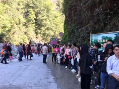 -九龙江国家森林公园