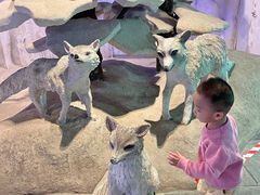 -华夏文旅海洋公园