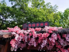 -西溪国家湿地公园