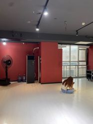 -DNA舞室
