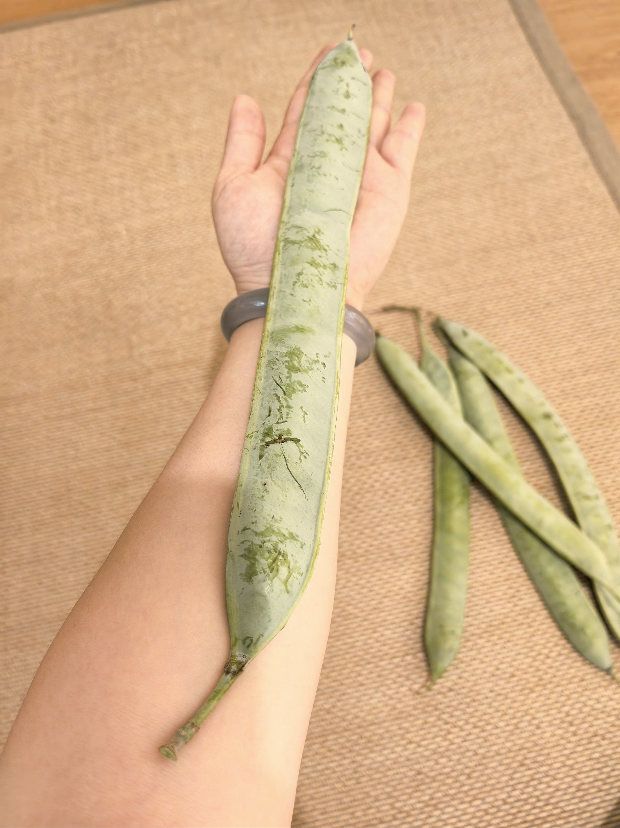 大豆角
