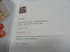 -东莞松山湖凯悦酒店