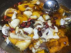 -雲蜀龙阁·金牌水煮鱼(方庄店)