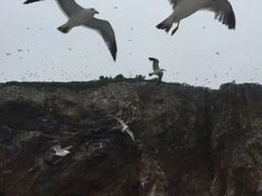 -海驴岛(荣成市)