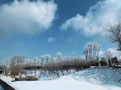 -江南天池高山汤泉城