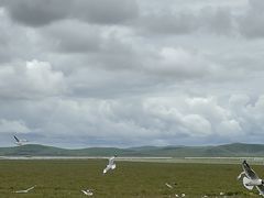 -花湖生态旅游区