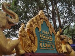 -西双版纳傣族园