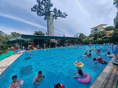 -苏州乐园森林水世界