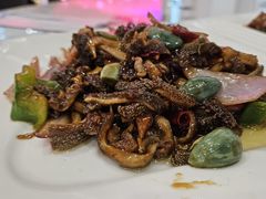 -清雅轩·清真菜·传统菜•融合菜(滑翔店)