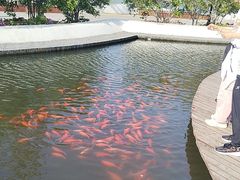 -重元寺香积厨素斋馆