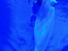 -上海海昌海洋公园-冰山北极馆