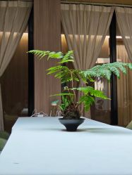 -爱弥儿月子中心(省医院店)