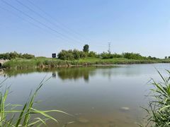 -渭河城市绿地运动公园