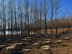 -山西乌金山旅游区