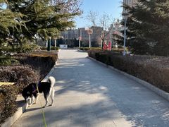 -滨河世纪广场公园