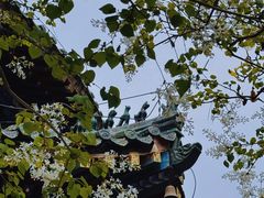 -潭柘寺景区