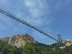 -西霞口神雕山野生动物世界