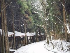 -武陵山森林公园