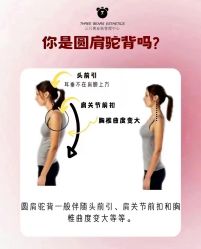 -三只熊皮肤管理中心旗舰店