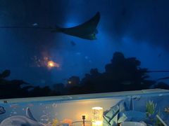 -海棠湾洲际-涛·海底餐厅·美人鱼·自助餐·海底隧道