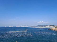 -枸杞岛