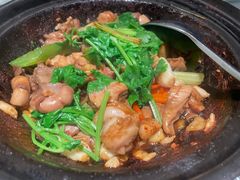 -大榕树下顺德菜(融创茂店)